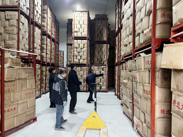 平舆县射桥镇大王村：恒温仓储锁鲜 姜香引路共富