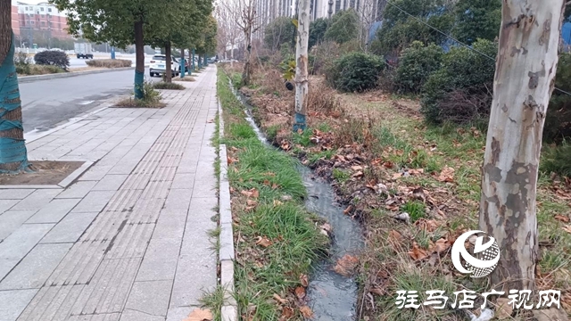 污水不再直排！白桥路管网改造即将竣工 实现全收集处理