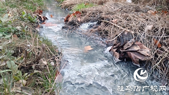 污水不再直排！白桥路管网改造即将竣工 实现全收集处理