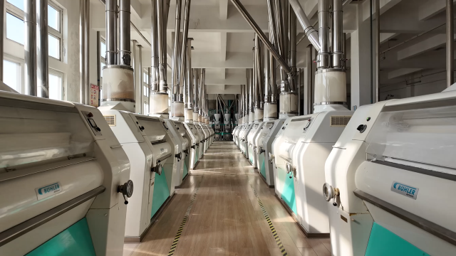 一加一面粉:智造发力 冲刺2026年一季度开门红