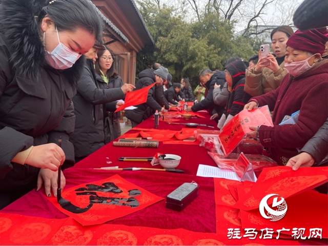 驿城区年货大集开市 “芈月古村”年味浓活力足