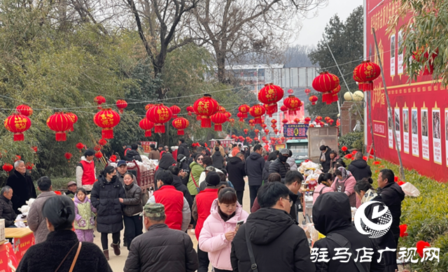 驿城区年货大集开市 “芈月古村”年味浓活力足