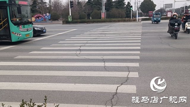 斑马线&ldquo;怼&rdquo;上花坛 市民过街犯难