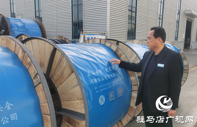 李全岭荣膺河南省非公有制经济人士优秀建设者