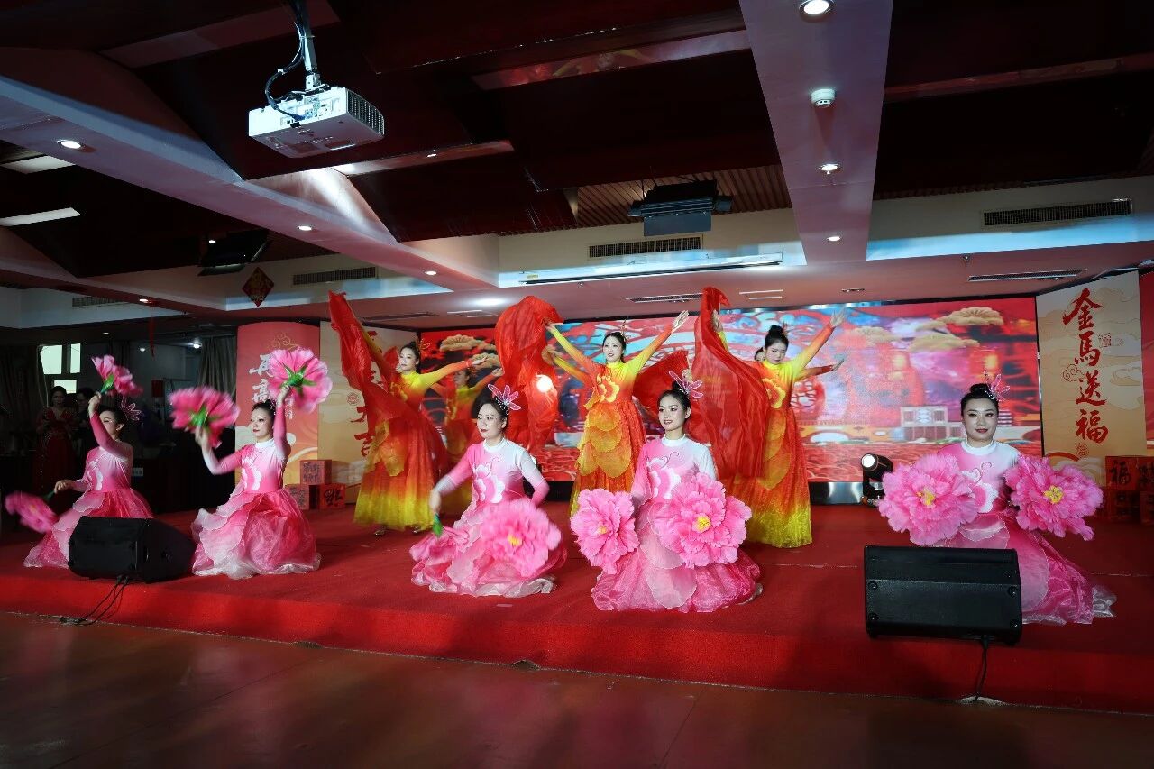 医路向暖守初心 艺彩华章启新程 | 驻马店市中医院2026年春节联欢会圆满落幕