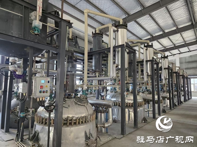 河南粮保作物:严把质量底线 守护粮食生产安全