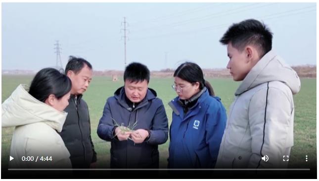 “一根针”有救吗？跟着老刘去把“麦”丨新春走基层