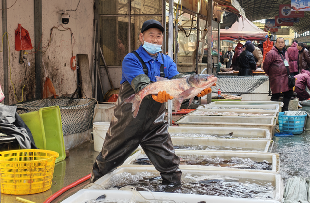 热闹大集藏年味 寻常烟火最暖心