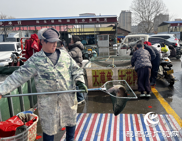 驻马店：年货采购迎高峰 鱼跃人欢年味浓