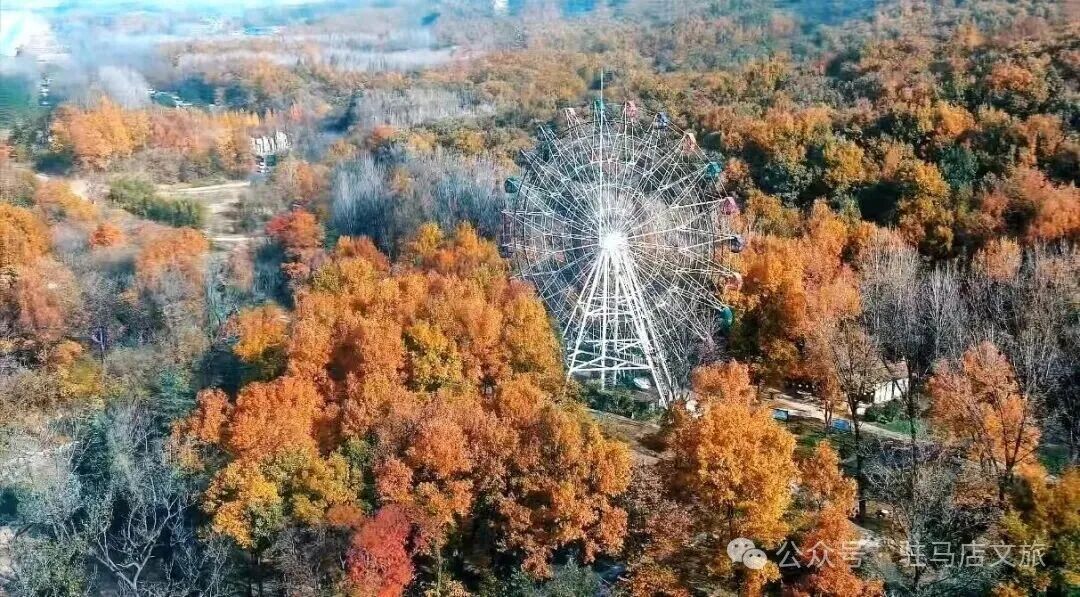 马跃新春游天中 | 景区惠民福利指南来啦~