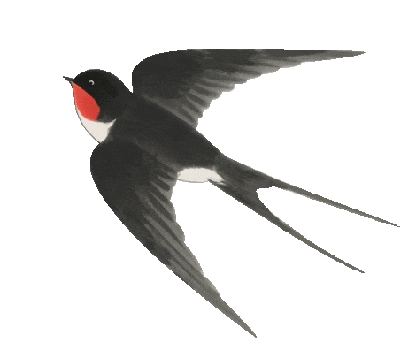 “春满中原 老家河南”2026年驻马店新春特色文旅活动