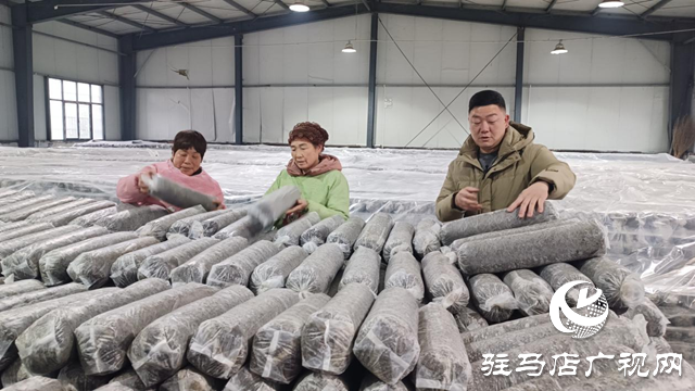 确山县任店镇入选省级农业产业强镇 小菌棒种出致富大产业