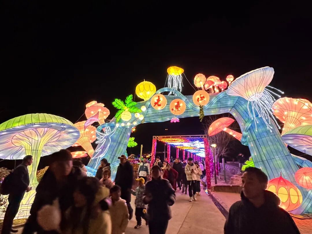 “春满中原 老家河南”2026年驻马店新春特色文旅活动