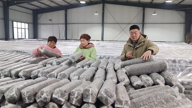 确山县任店镇入选省级农业产业强镇 小菌棒种出致富大产业