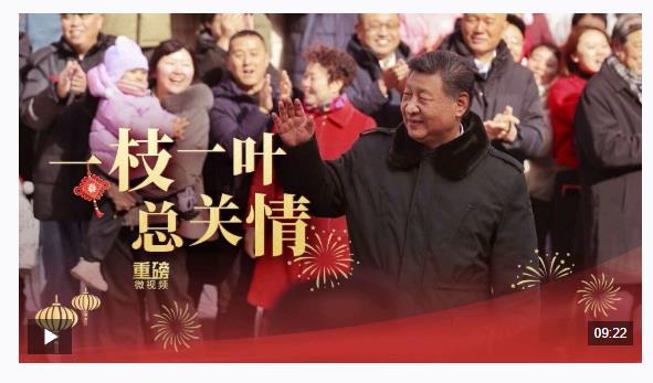 重磅微视频丨一枝一叶总关情