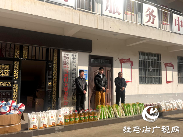 平舆县阳城镇：国家一级篮球运动员王勃臣返乡献爱心