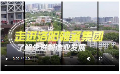 央媒观豫 | 洛轴：3万多种产品这样下线