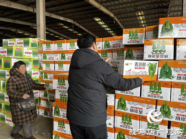 【春节我在岗】小小菜摊不打烊 守护市民“菜篮子”