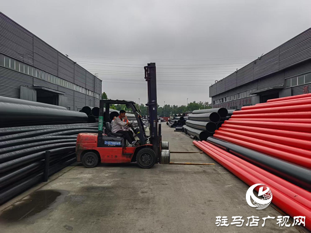 2026年春节海采：新年新气象 新年新愿望