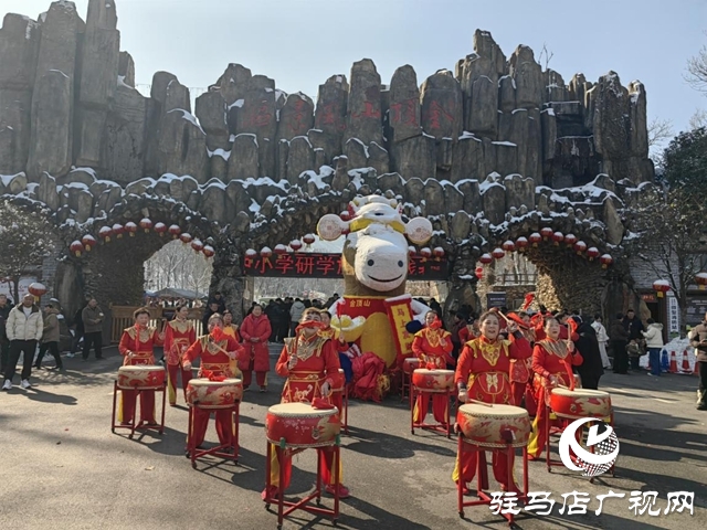 驻马店金顶山景区:民俗文化节启幕 红火场面尽显新春盛宴