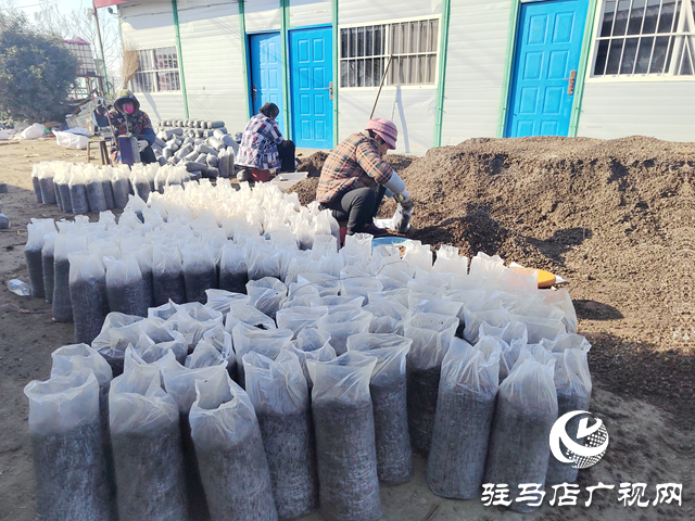 新春走基层丨新岁启封，听他们说……