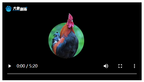 相濡以沫 守你如初丨好丈夫·武长安