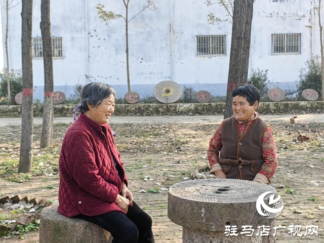 【天中光荣榜】2025年度盘点特辑&mdash;&mdash;李小妮：一墙未隔 亲如一家