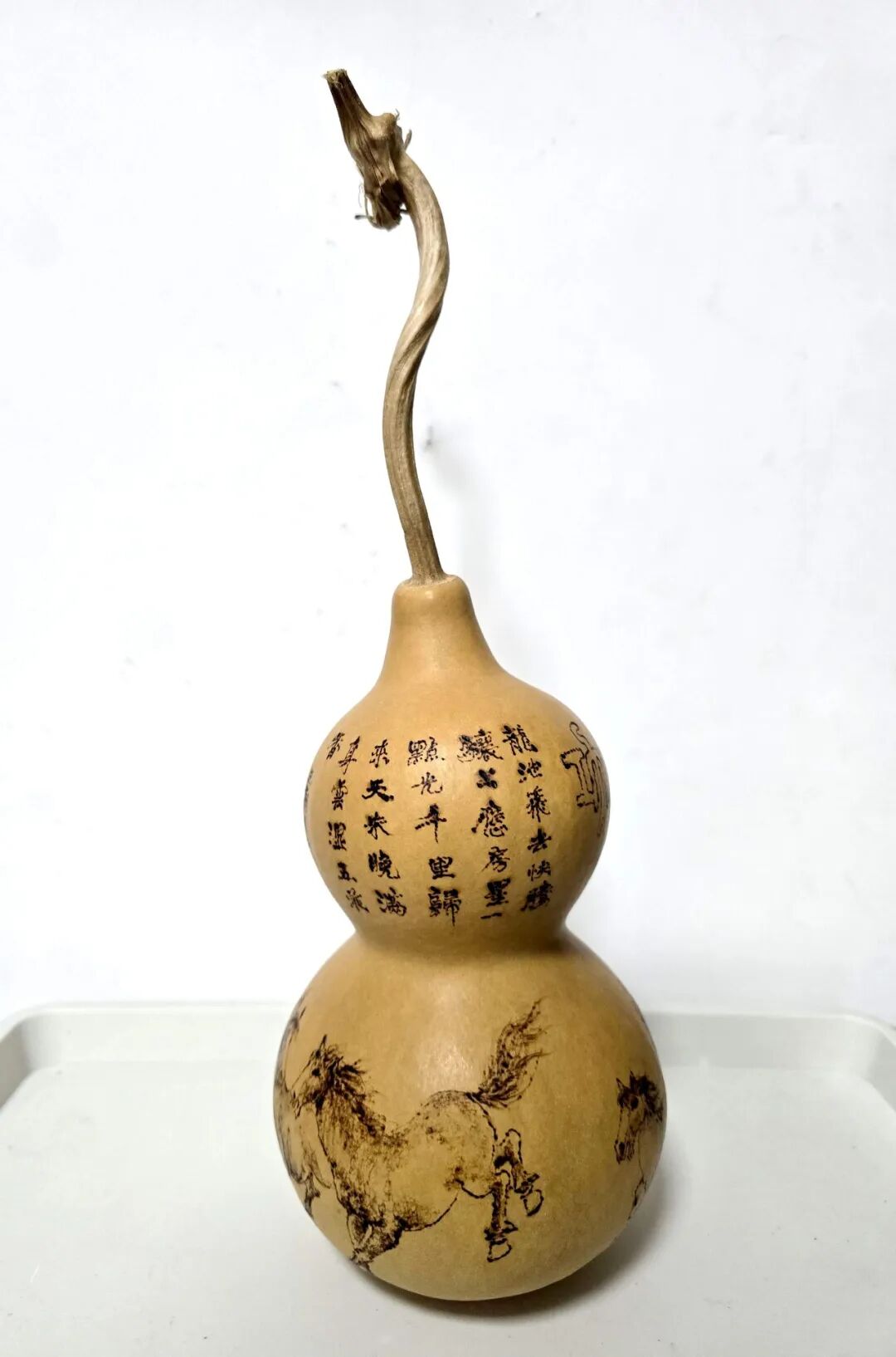 “天中福马·非遗迎春”——2026驻马店市非遗民间艺术作品线上展