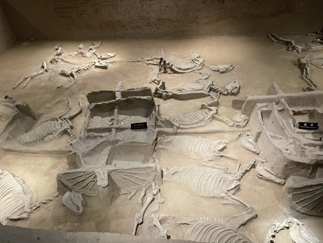 灵骏送福送祥瑞 国宝里的小马含量超高