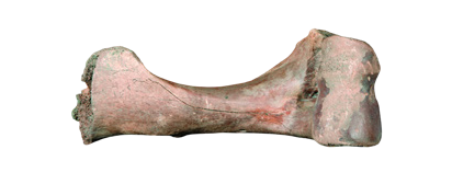 灵骏送福送祥瑞 国宝里的小马含量超高