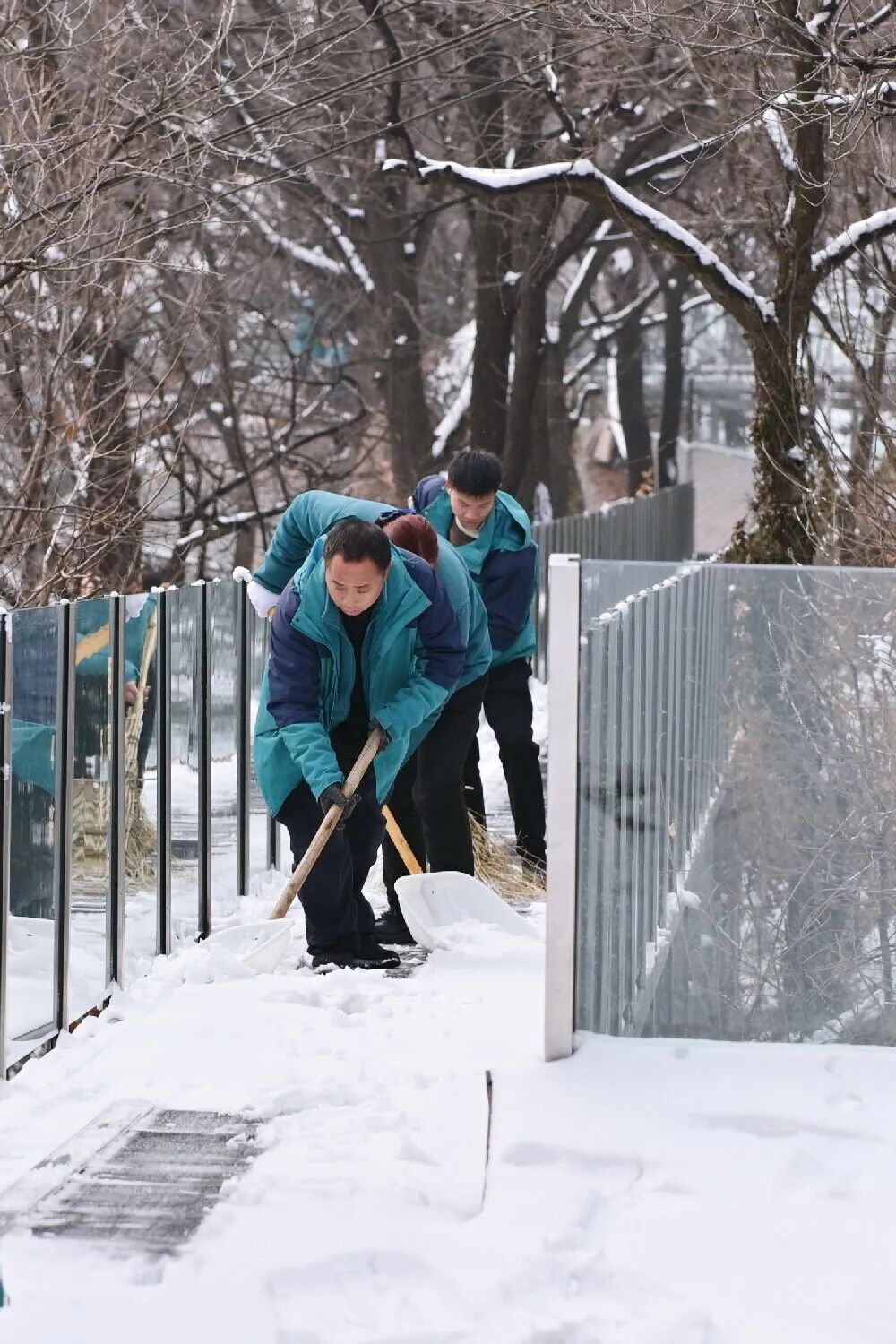 瑞雪兆丰年！春节假期晴天模式开启！邀您共赴这场新春之约！