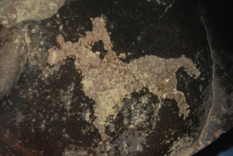 灵骏送福送祥瑞 国宝里的小马含量超高