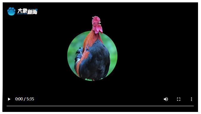 个人善举带好整村风气∣好邻居·祝红刚