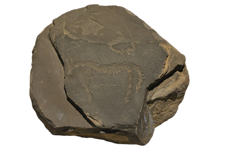 灵骏送福送祥瑞 国宝里的小马含量超高