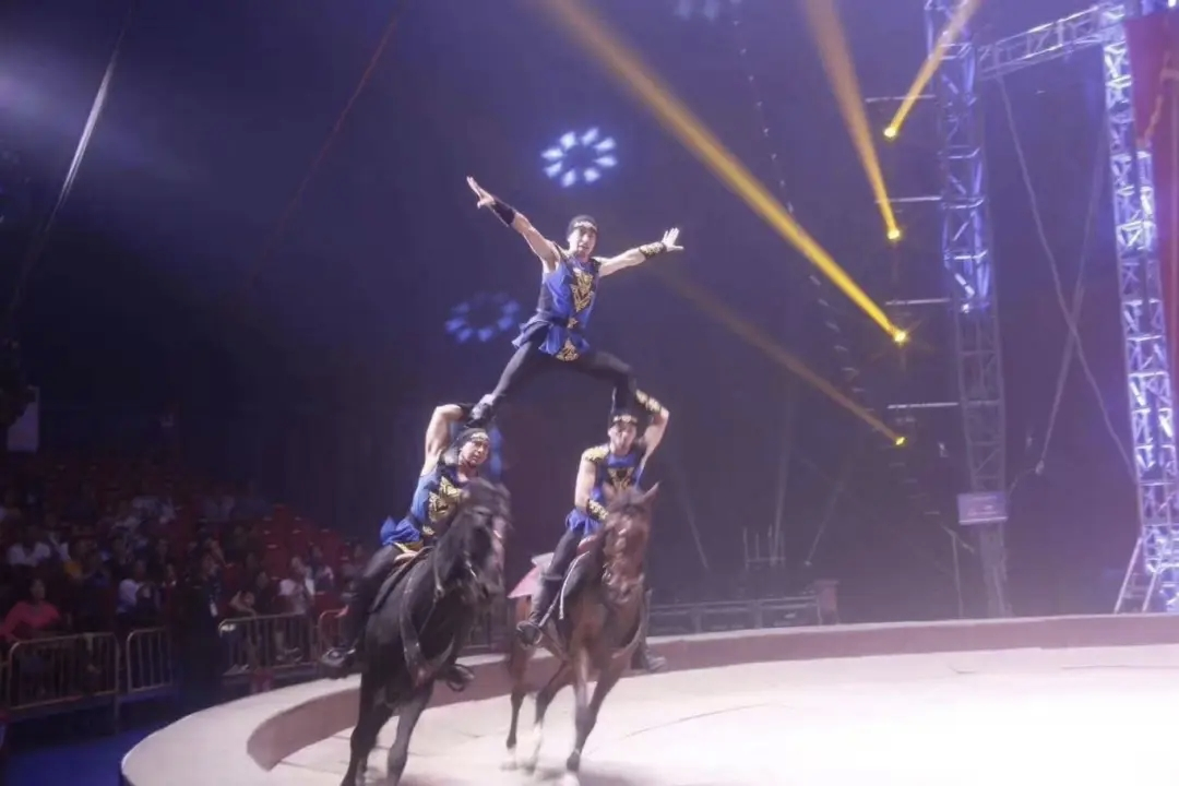 春节游河南，“马”上去遛娃