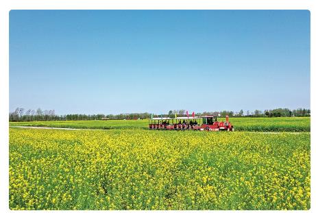 河南省信阳市平桥区明港镇新集村:文旅赋能开出“致富花”