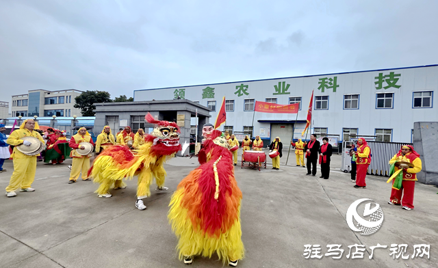 遂平县沈寨镇小寨村：铜器欢歌庆新春 爱心基金暖人心