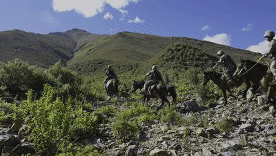 上完春晚，这些军马去干啥了？