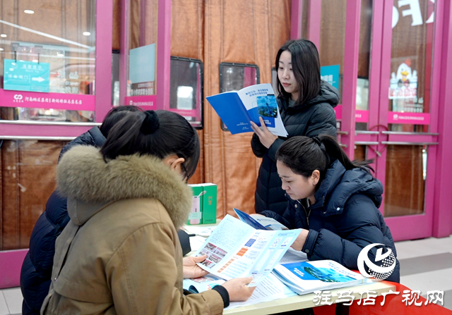 驻马店：春风送岗暖民心 就业服务零距离