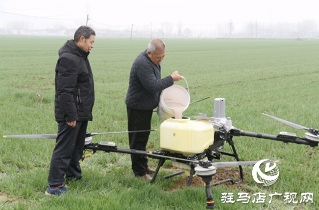 平舆县：无人机&ldquo;问诊&rdquo;农技&ldquo;把脉&rdquo; 122万亩小麦春管正当时
