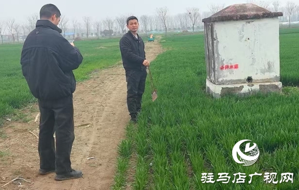 平舆县万金店镇：紧盯农闲抓整改 筑牢农田“灌溉线”