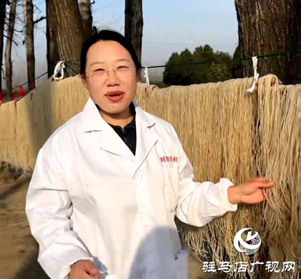  扎根乡土守初心 产业兴农促振兴&mdash;&mdash;平舆县人大代表冯敏履职尽责助力乡村发展