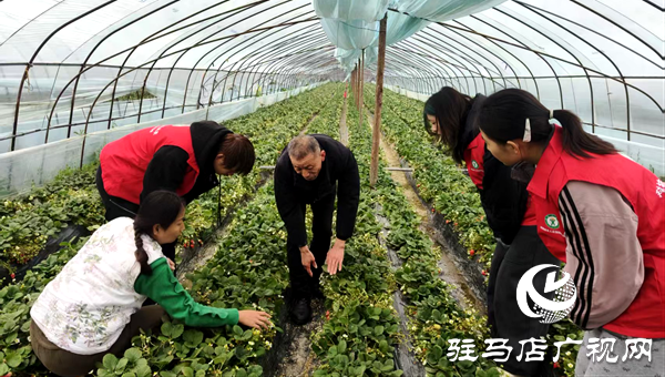 学雷锋助春耕 平舆科技志愿服务赋能乡村振兴