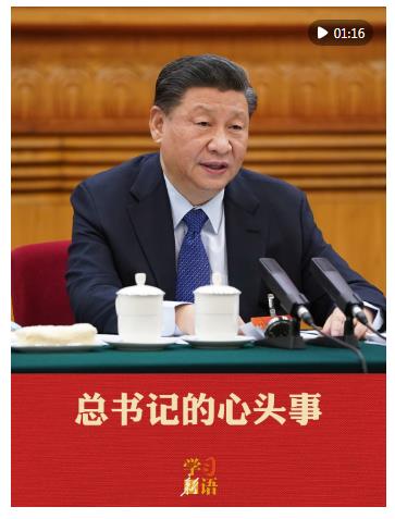 学习新语·两会｜总书记的心头事