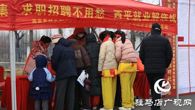  非遗闹元宵&middot;西平县第43届大铜器展演暨春风送岗活动隆重举办