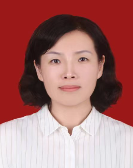 王玲任驻马店市人民政府市长职务