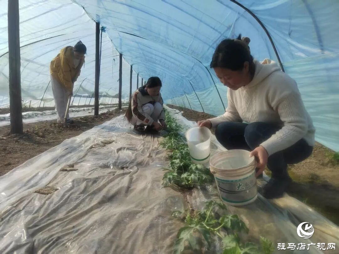 正阳县:企业复工复产忙 开足马力“抢春光”