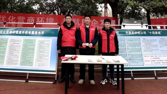  国网平舆县供电公司：开展优化营商环境集中宣传活动
