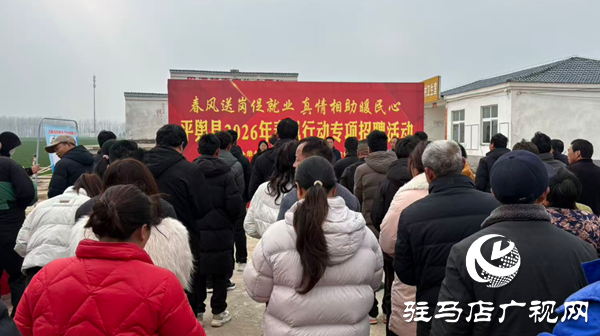 平舆县人社局：春风送岗促就业 专项招聘暖民心