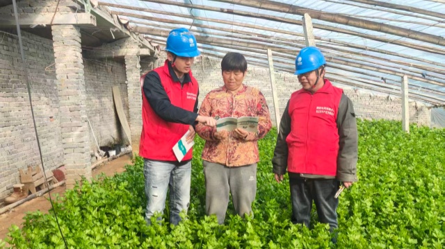 国网上蔡县供电公司：全力护航春耕生产用电安全